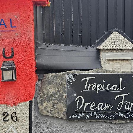 Tropical Dream Farm Hotel Vouzela Exterior photo